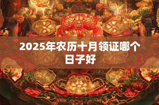 2025年农历十月领证哪个日子好