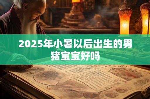 2026年小暑以后出生的男猪宝宝好吗