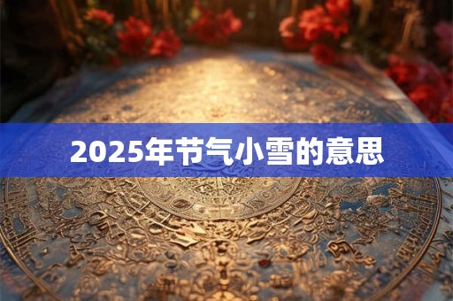 2025年节气小雪的意思