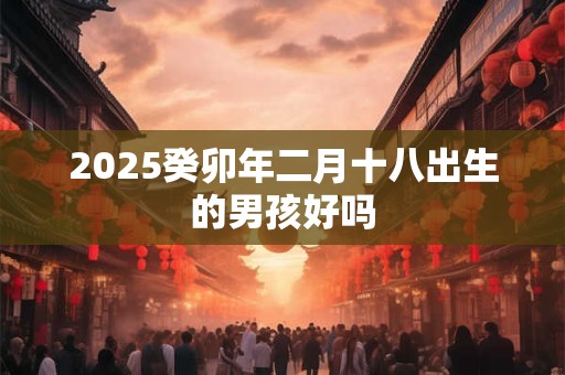 2025癸卯年二月十八出生的男孩好吗