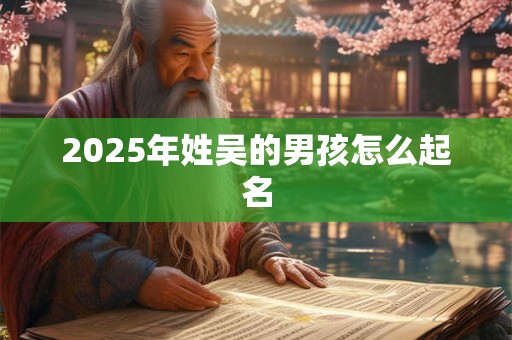 2025年姓吴的男孩怎么起名 2025年姓吴的男孩怎么起名