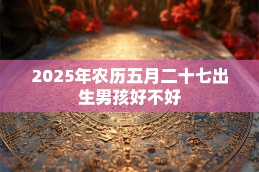 2025年农历五月二十七出生男孩好不好