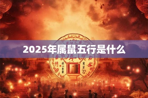 2025年属鼠五行是什么 2025年属鼠五行是什么