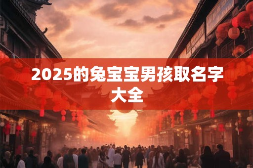 2025的兔宝宝男孩取名字大全 2025的兔宝宝男孩取名字大全