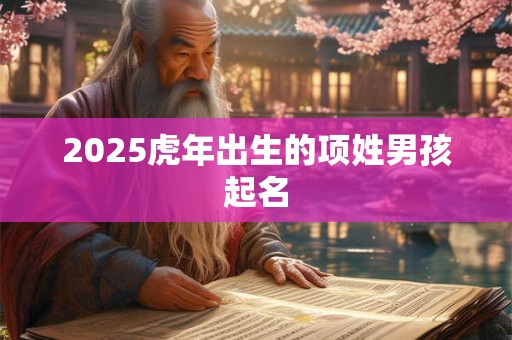 2025虎年出生的项姓男孩起名