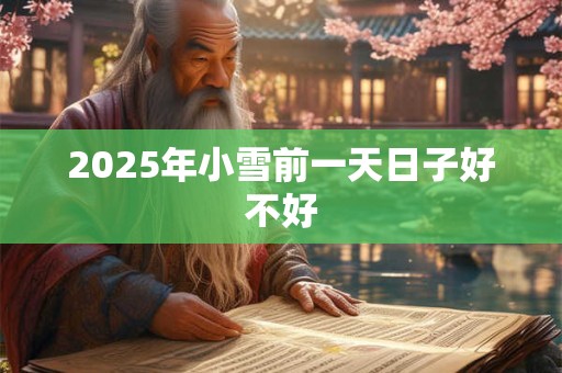 2025年小雪前一天日子好不好