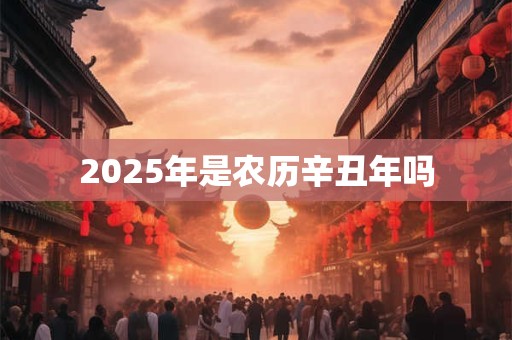2025年是农历辛丑年吗 2025年是农历辛丑年吗