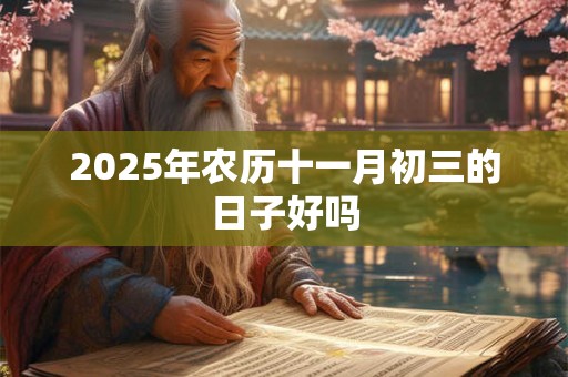 2025年农历十一月初三的日子好吗