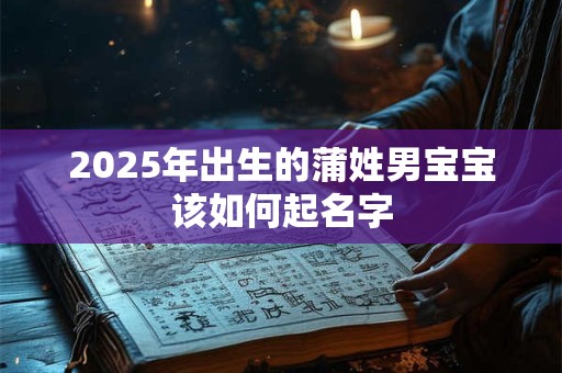 2025年出生的蒲姓男宝宝该如何起名字