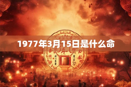 1977年3月15日是什么命 1977年3月15日是什么命