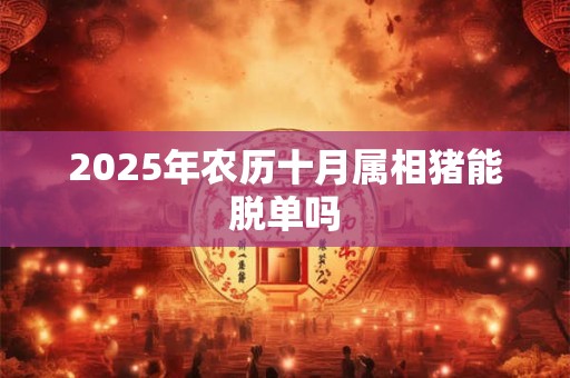 2025年农历十月属相猪能脱单吗