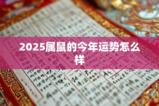 2025属鼠的今年运势怎么样