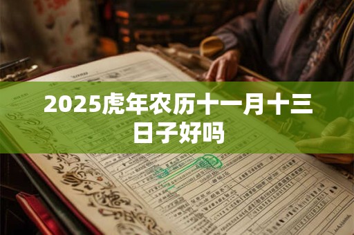 2026虎年农历十一月十三日子好吗