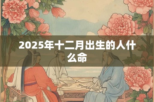 2025年十二月出生的人什么命 2025年十二月出生的人什么命