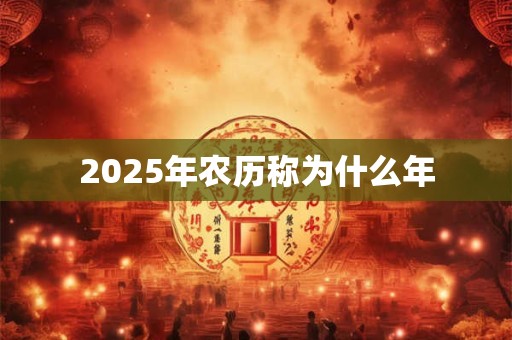 2025年农历称为什么年