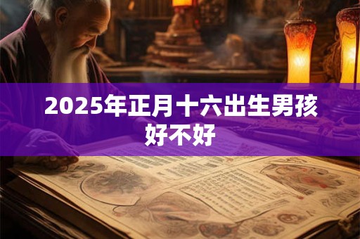 2025年正月十六出生男孩好不好 2025年正月十六出生男孩好不好