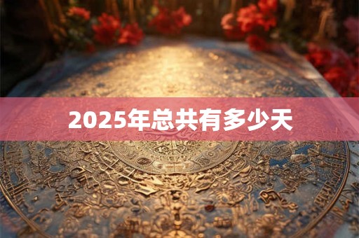 2025年总共有多少天