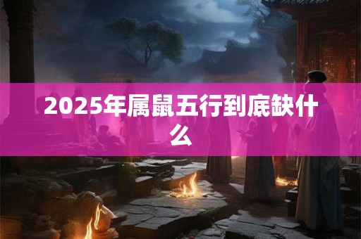 2025年属鼠五行到底缺什么 2025年属鼠五行到底缺什么