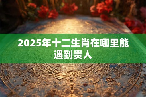 2025年十二生肖在哪里能遇到贵人 2025年十二生肖在哪里能遇到贵人