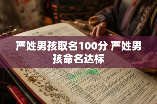 严姓男孩取名100分 严姓男孩命名达标 严姓男孩取名100分 严姓男孩命名达标