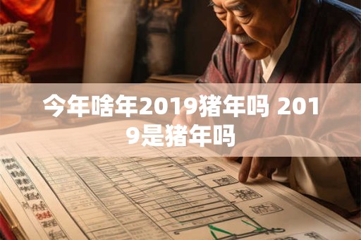 今年啥年2019猪年吗 2019是猪年吗 今年啥年2019猪年吗 2019是猪年吗