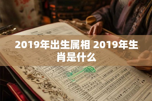 2019年出生属相 2019年生肖是什么