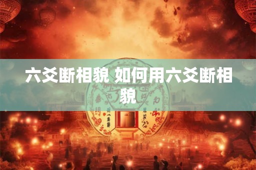 六爻断相貌 如何用六爻断相貌