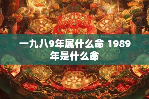 一九八9年属什么命 1989年是什么命 一九八9年属什么命 1989年是什么命