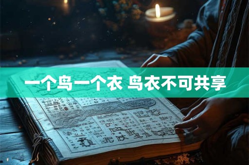 一个鸟一个衣 鸟衣不可共享 一个鸟一个衣 鸟衣不可共享
