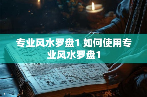 专业风水罗盘1 如何使用专业风水罗盘1