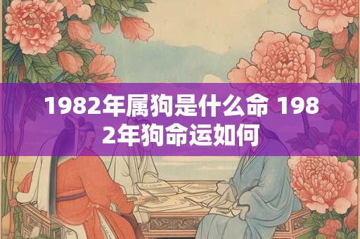 1982年属狗是什么命 1982年狗命运如何 1982年属狗是什么命 1982年狗命运如何