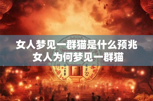 女人梦见一群猫是什么预兆 女人为何梦见一群猫