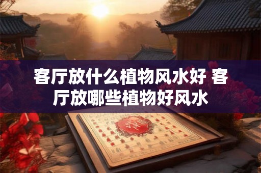 客厅放什么植物风水好 客厅放哪些植物好风水