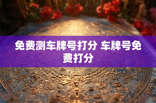 免费测车牌号打分 车牌号免费打分