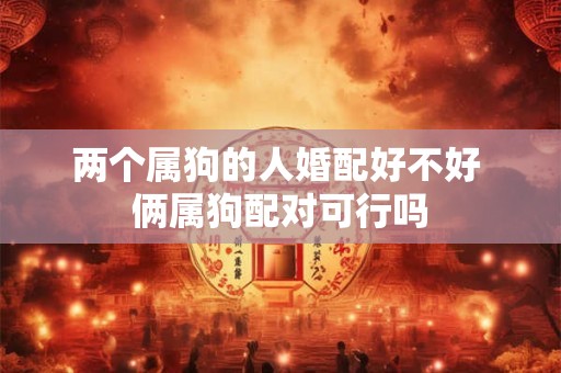 两个属狗的人婚配好不好 俩属狗配对可行吗