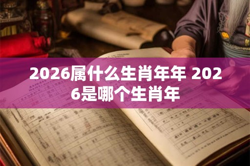 2026属什么生肖年年 2026是哪个生肖年