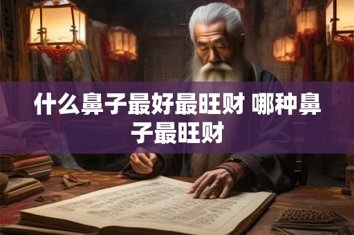 什么鼻子最好最旺财 哪种鼻子最旺财