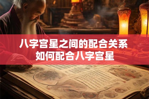 八字宫星之间的配合关系 如何配合八字宫星