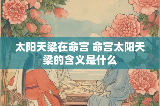 太阳天梁在命宫 命宫太阳天梁的含义是什么