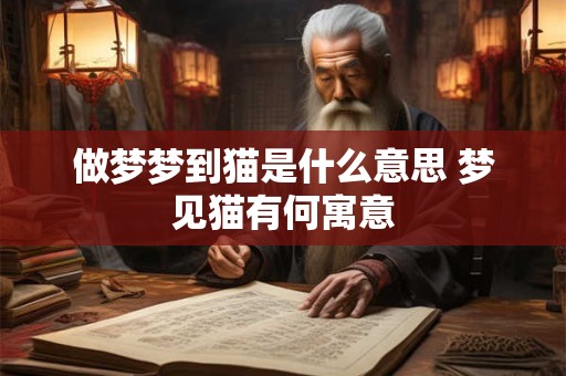 做梦梦到猫是什么意思 梦见猫有何寓意