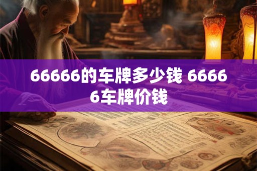 66666的车牌多少钱 66666车牌价钱
