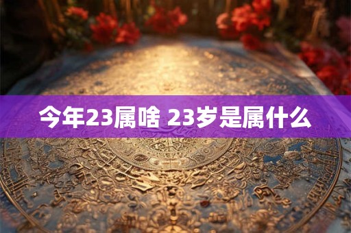 今年23属啥 23岁是属什么