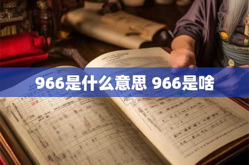 966是什么意思 966是啥