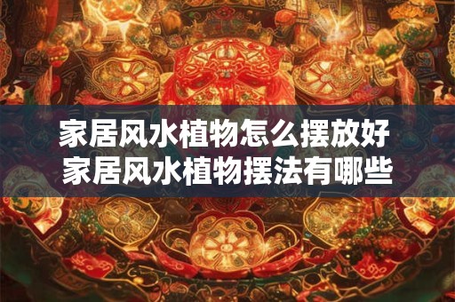 家居风水植物怎么摆放好 家居风水植物摆法有哪些