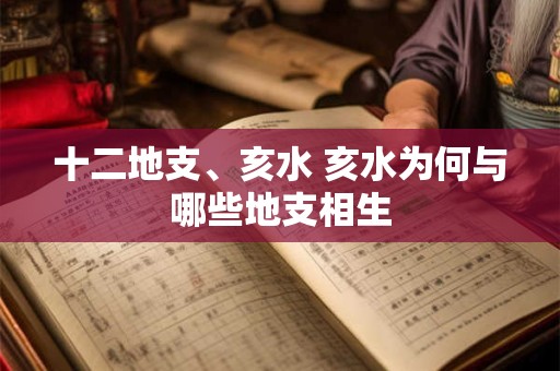 十二地支、亥水 亥水为何与哪些地支相生
