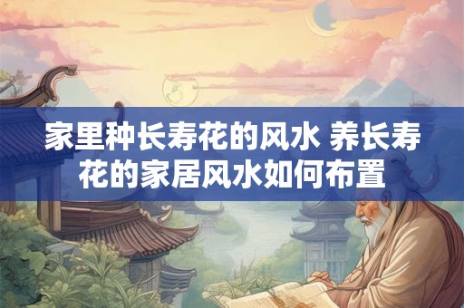 家里种长寿花的风水 养长寿花的家居风水如何布置