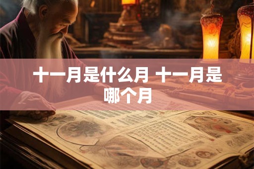 十一月是什么月 十一月是哪个月