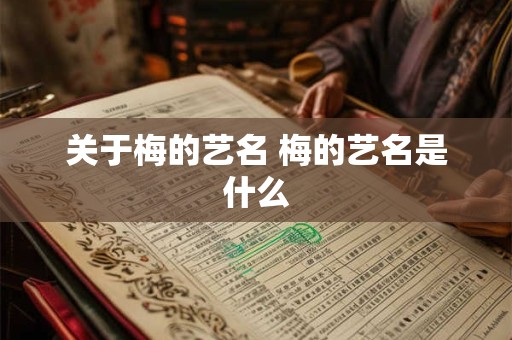 关于梅的艺名 梅的艺名是什么