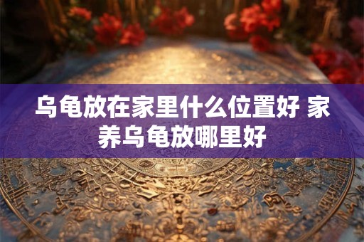 乌龟放在家里什么位置好 家养乌龟放哪里好