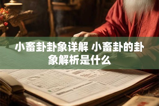 小畜卦卦象详解 小畜卦的卦象解析是什么